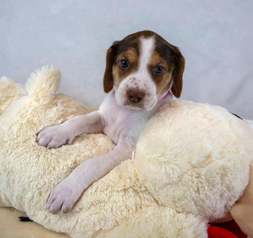 Mikaela — thumbnail 4