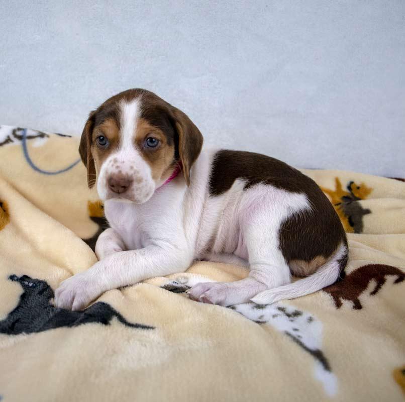 Mikaela — thumbnail 5