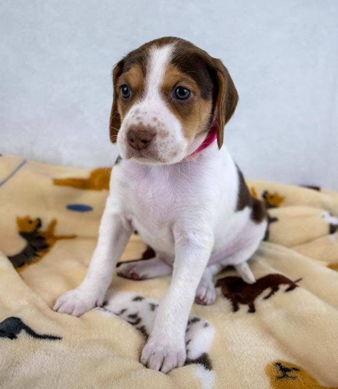 Mikaela — thumbnail 6