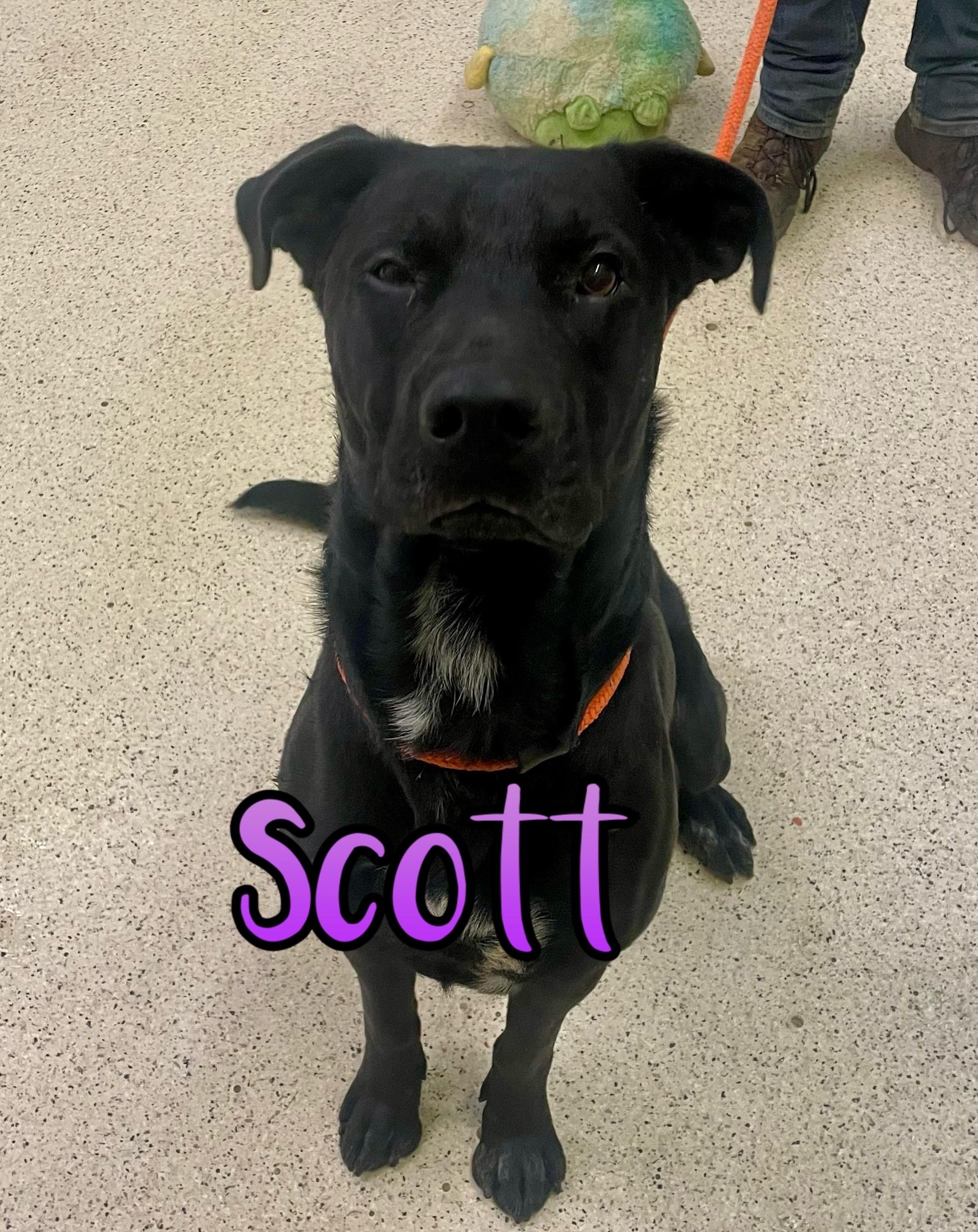 Scott