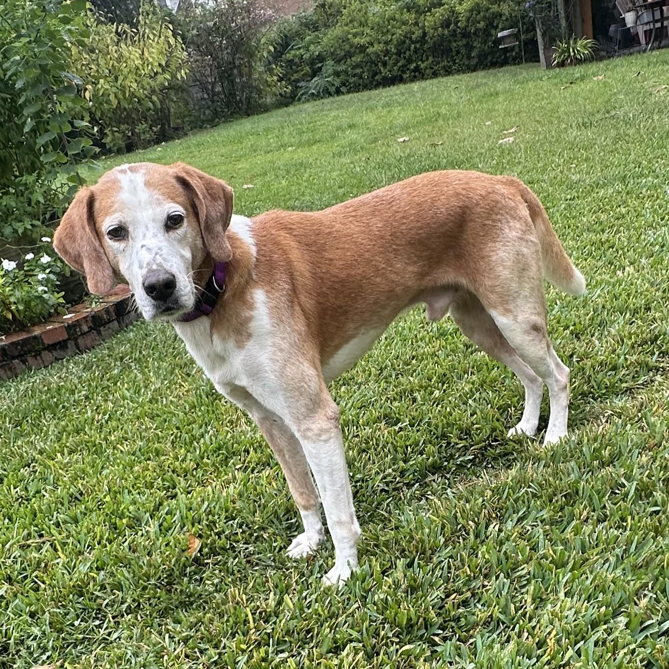 Jackson — thumbnail 6