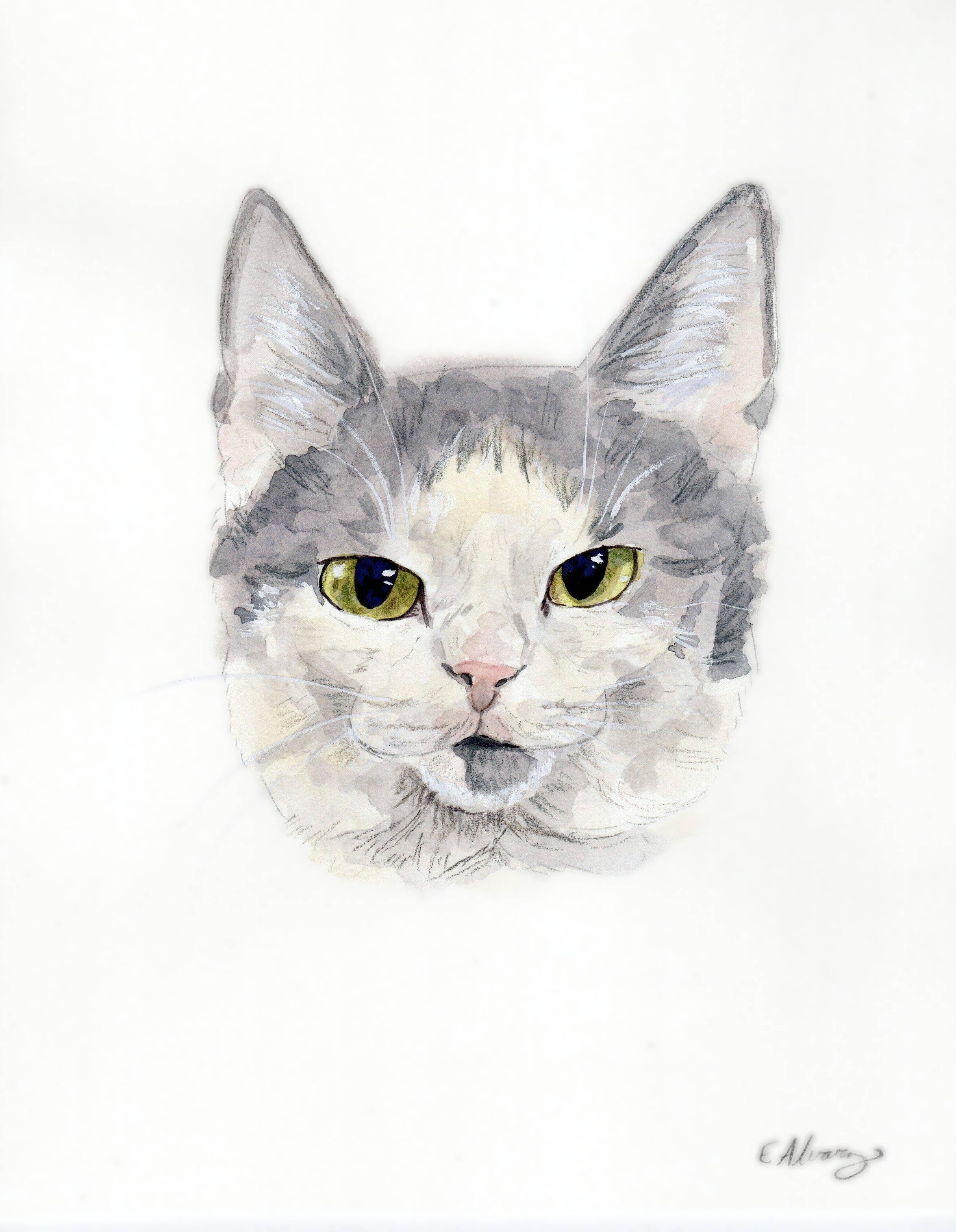 Newt, a Adoptable Domestic Short Hair in Lemoyne, PA image 3/5