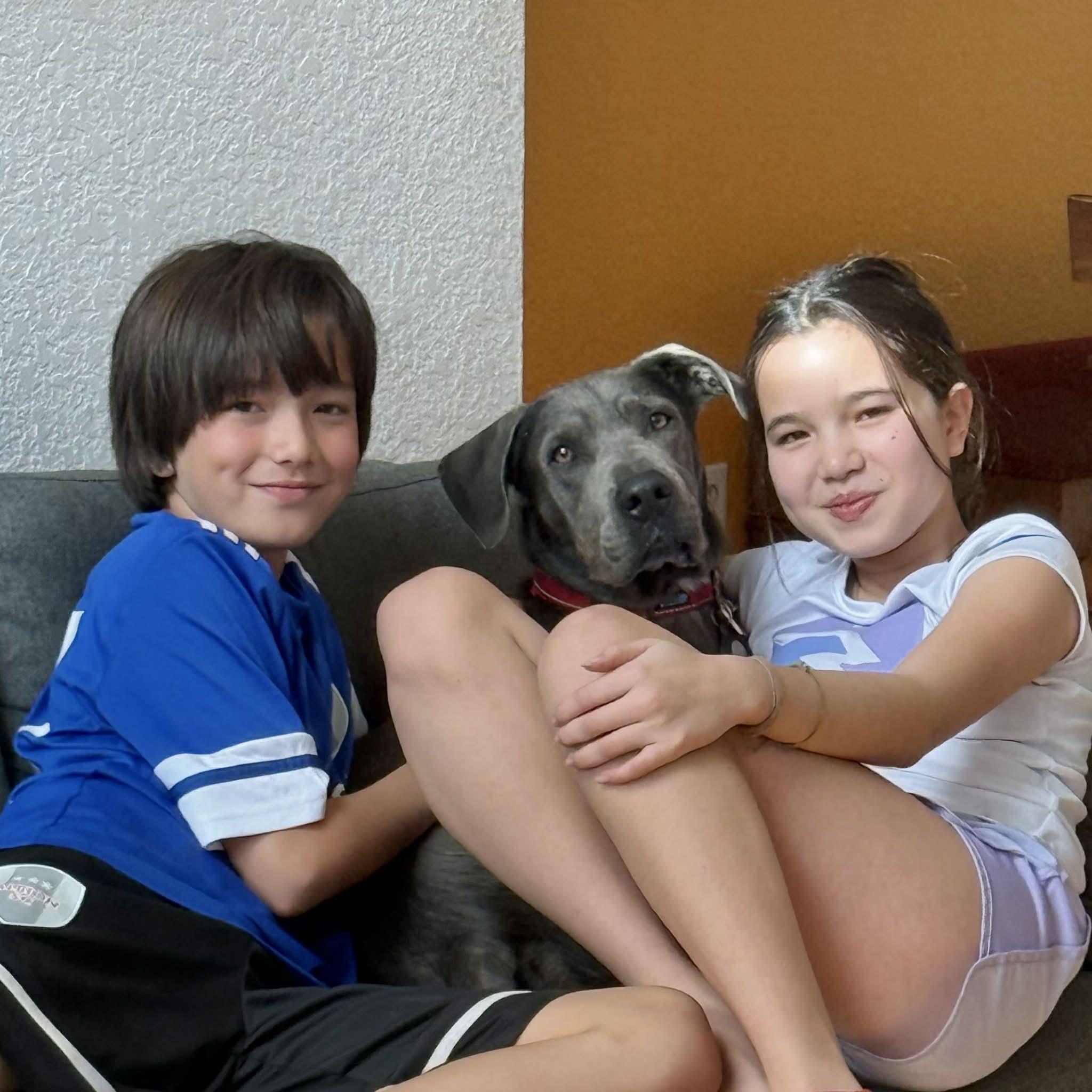 Enlarge Yuki, a Adoptable mixed breed in Boulder, CO image 3/6