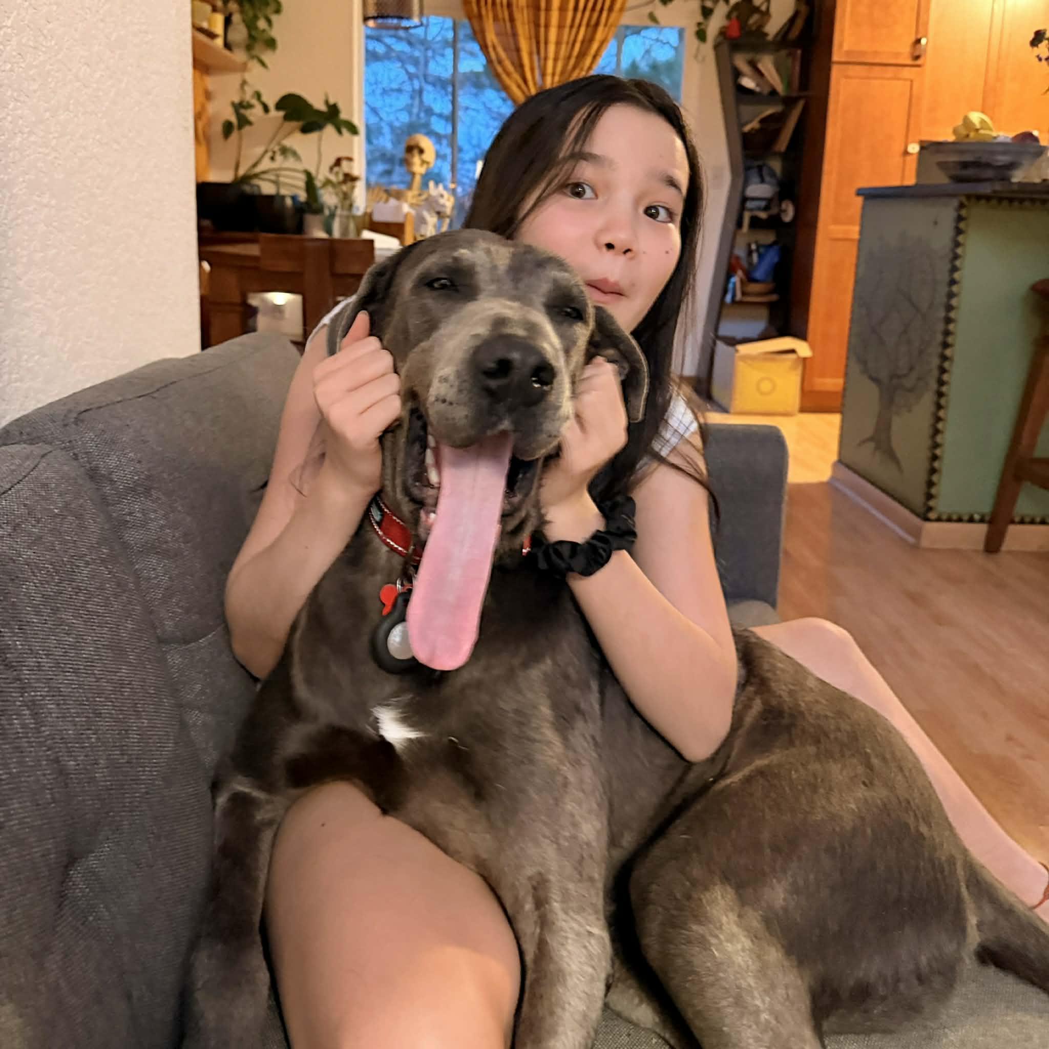 Enlarge Yuki, a Adoptable mixed breed in Boulder, CO image 5/6