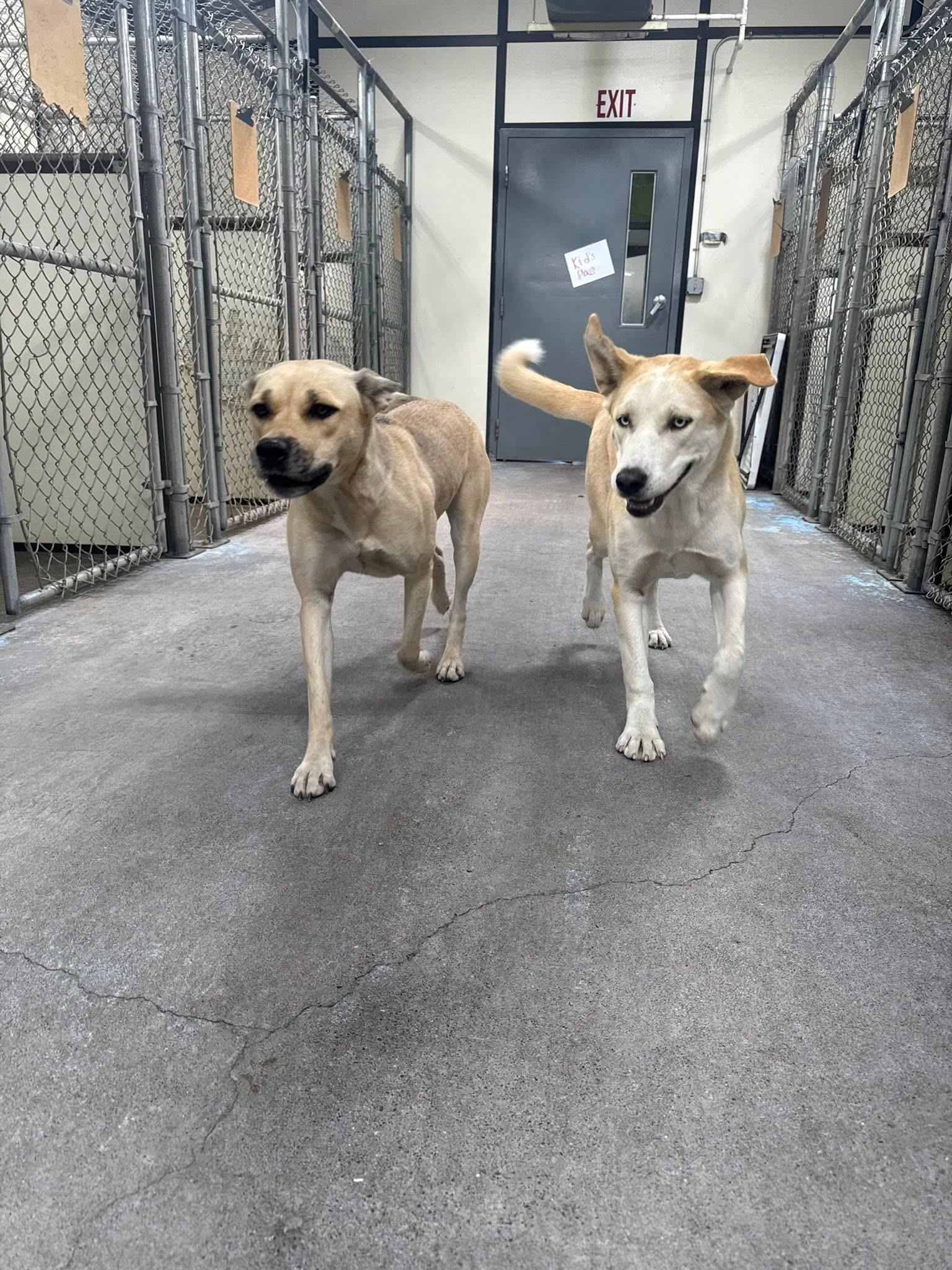 Kita & Mae