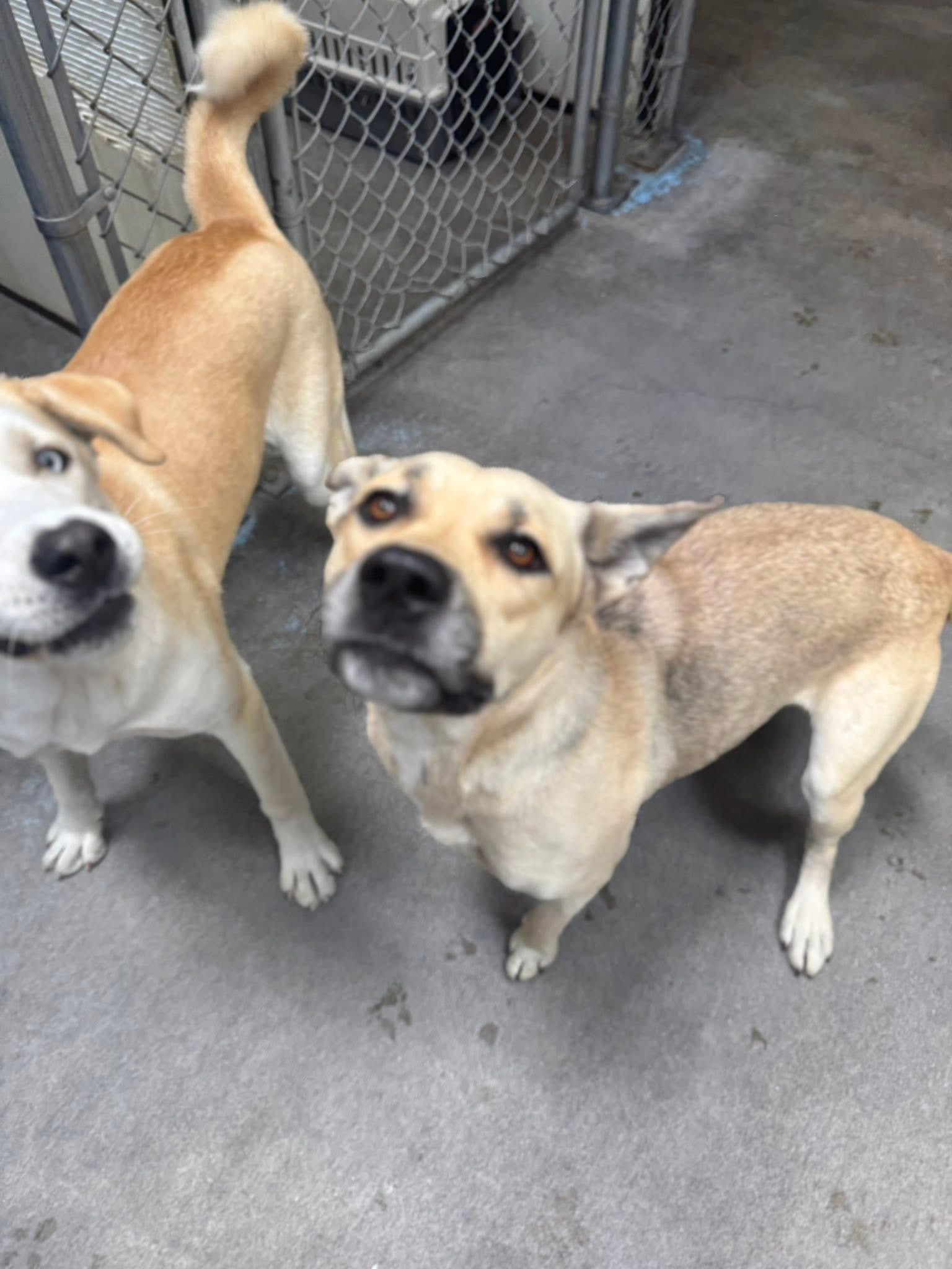 Kita & Mae