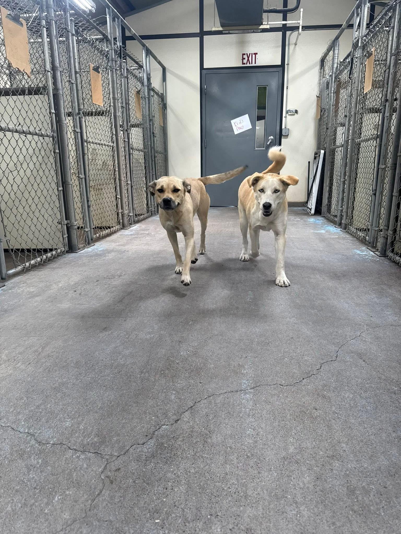 Kita & Mae