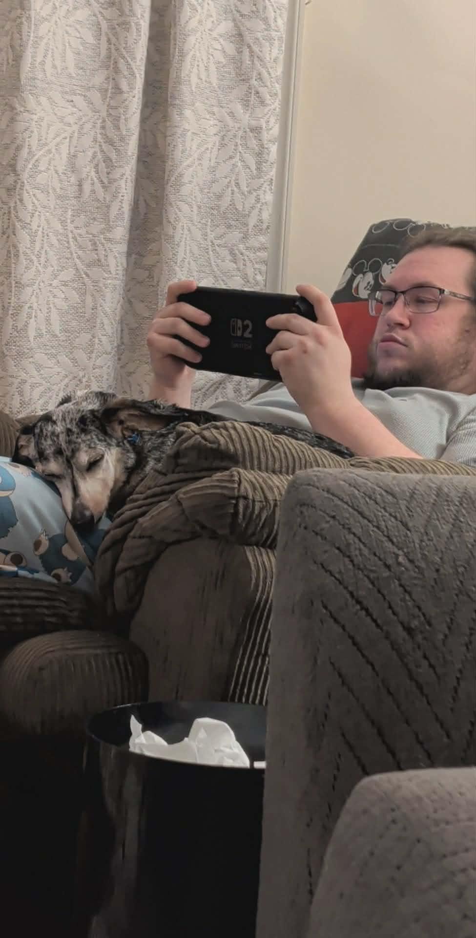 Frisky, a ADOPTABLE Dachshund in Dover, PA image 5/5