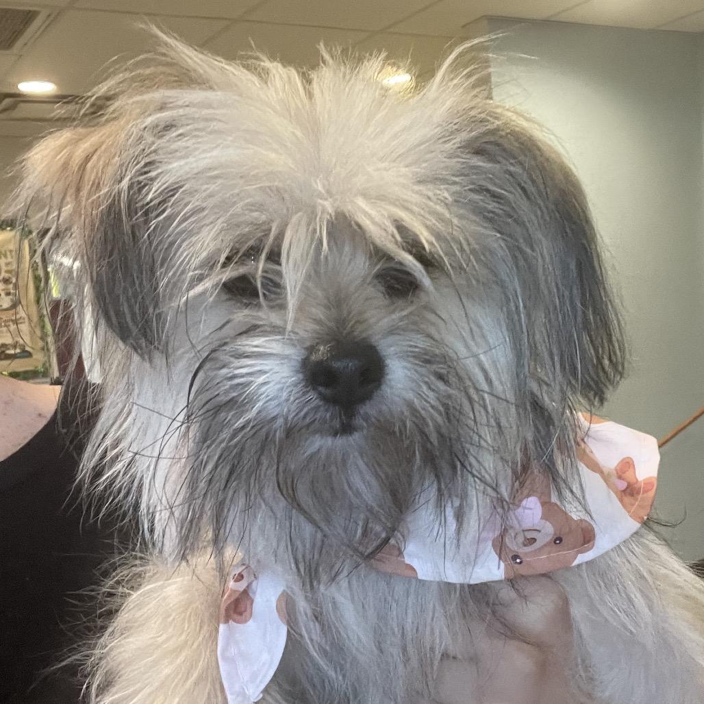 Cloud — thumbnail 2