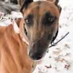 Borrowed Time thumbnail 2