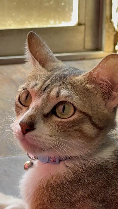 Misha — thumbnail 2