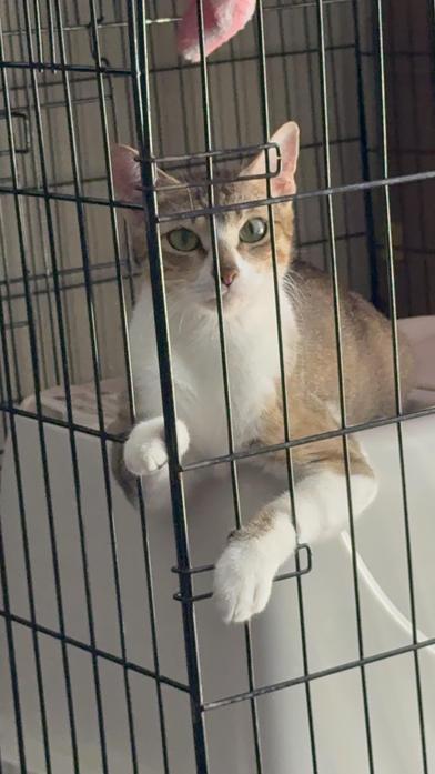 Misha — thumbnail 3