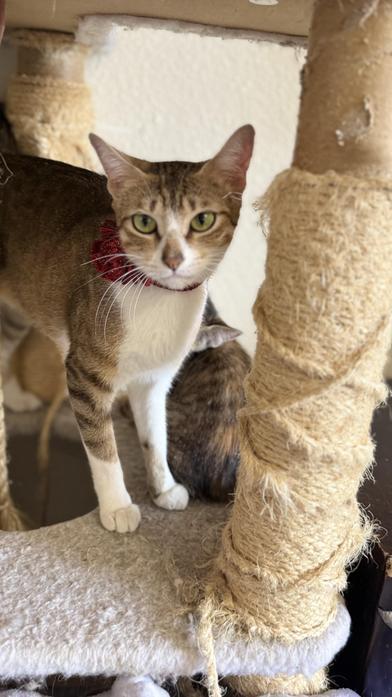 Misha — thumbnail 5