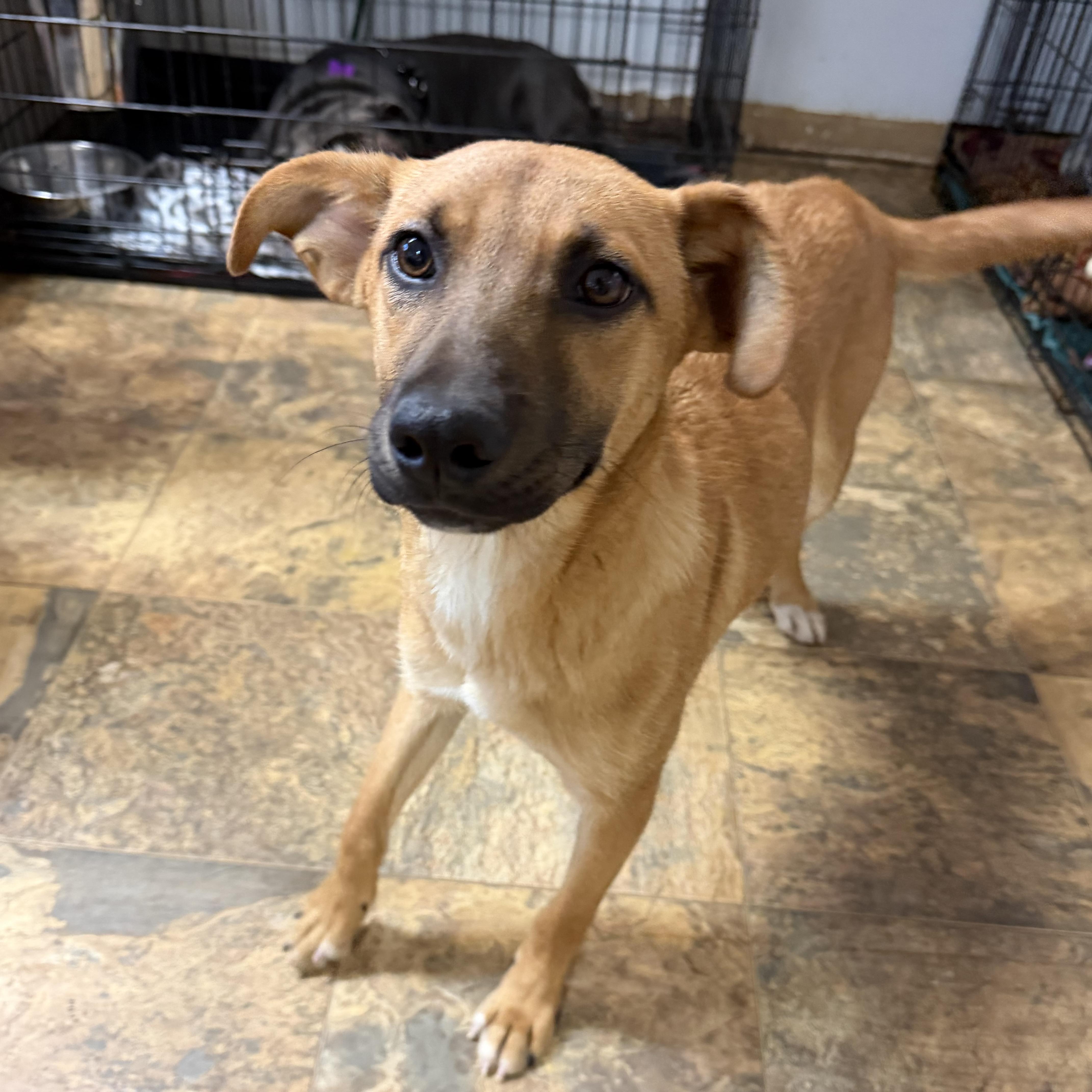 Esmeralda — thumbnail 2