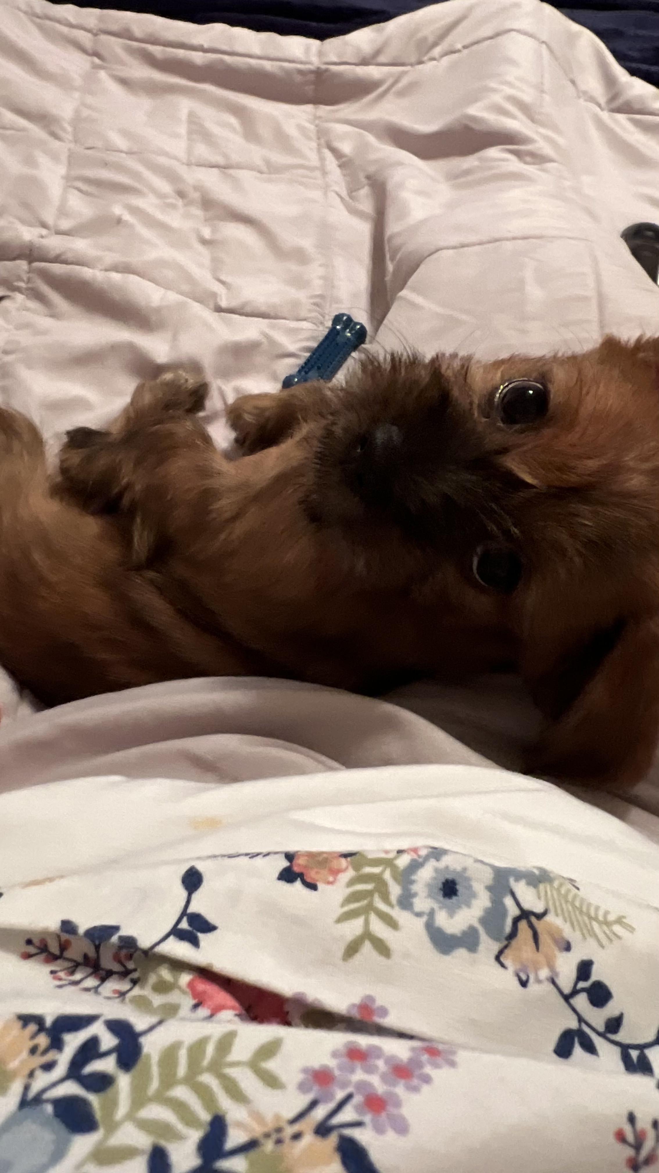 Stan-lee thumbnail 3