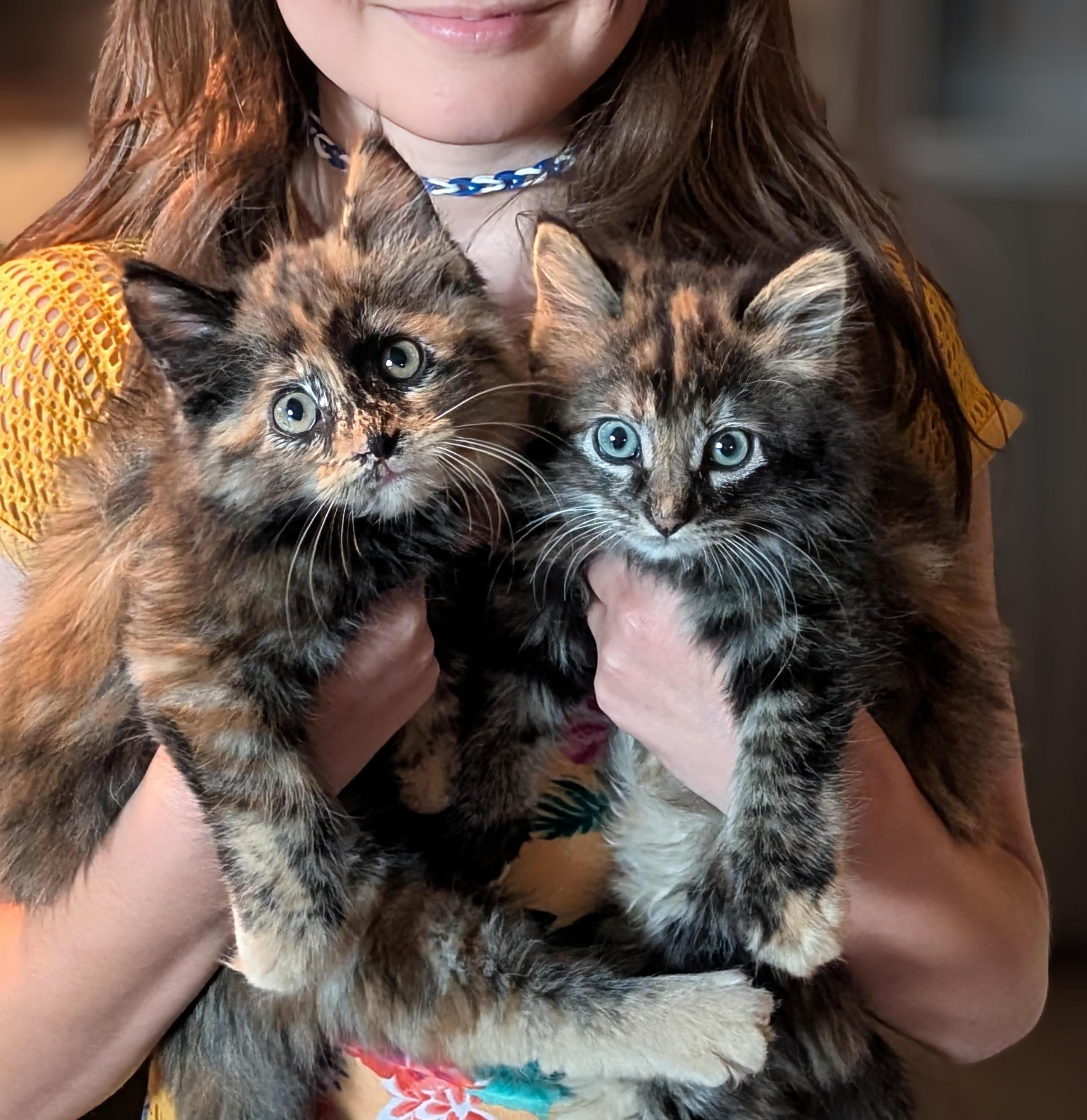Hazel and Willow