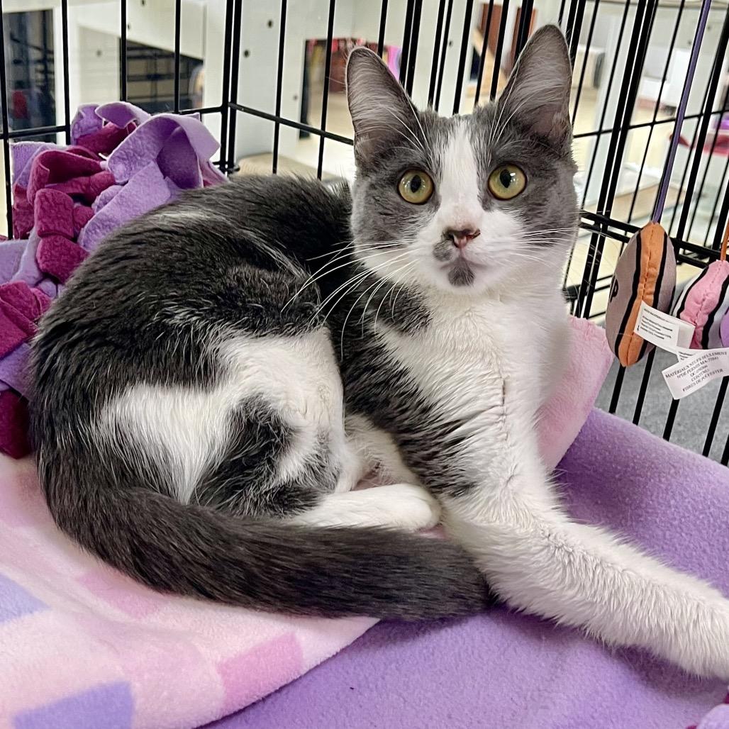 Joan of Arc — thumbnail 2