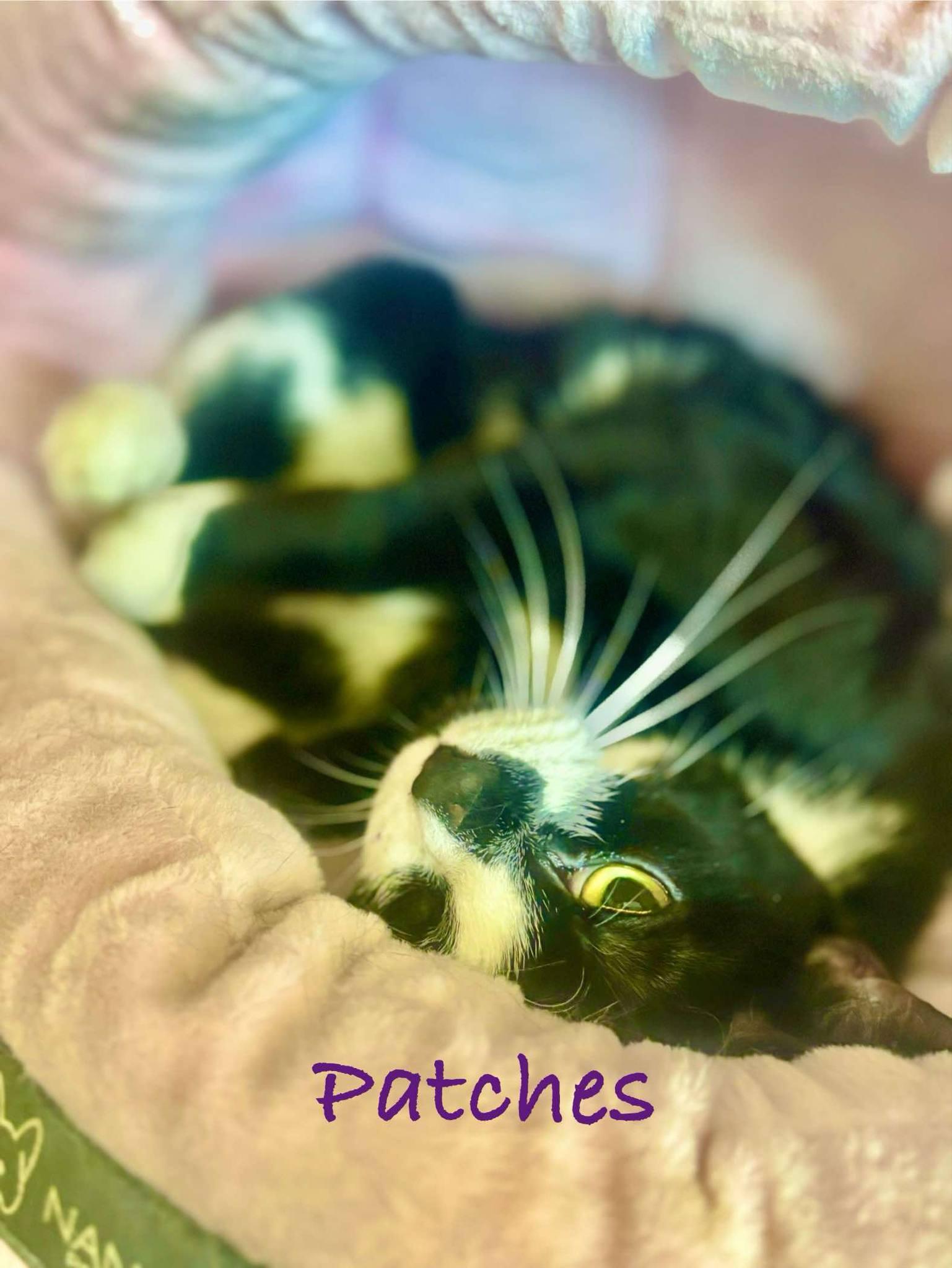 Patches