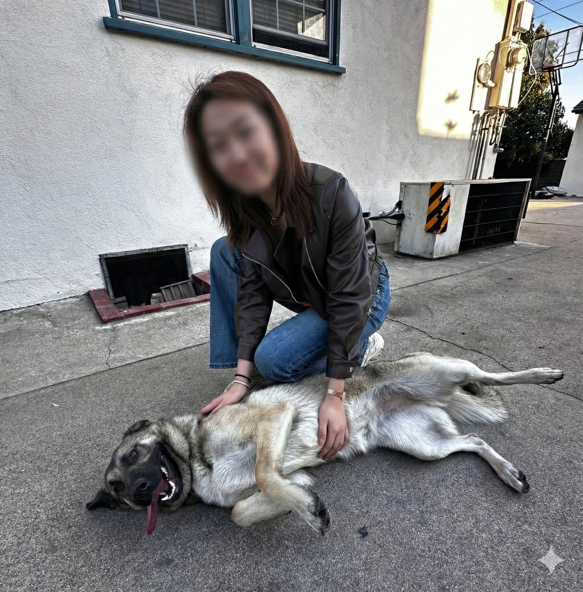 Peach, a ADOPTABLE mixed breed in Monrovia , CA image 4/6