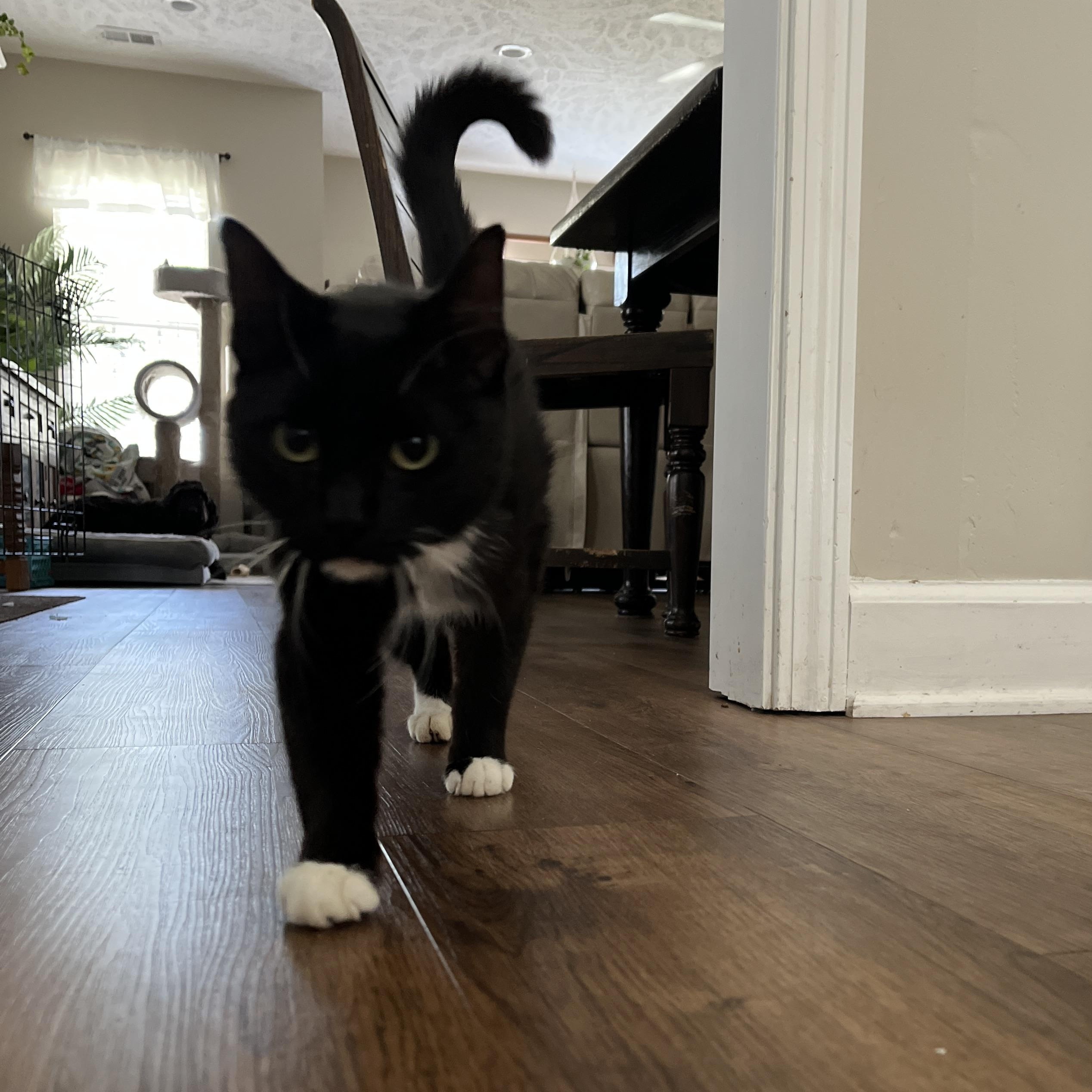 Elsie photo 3