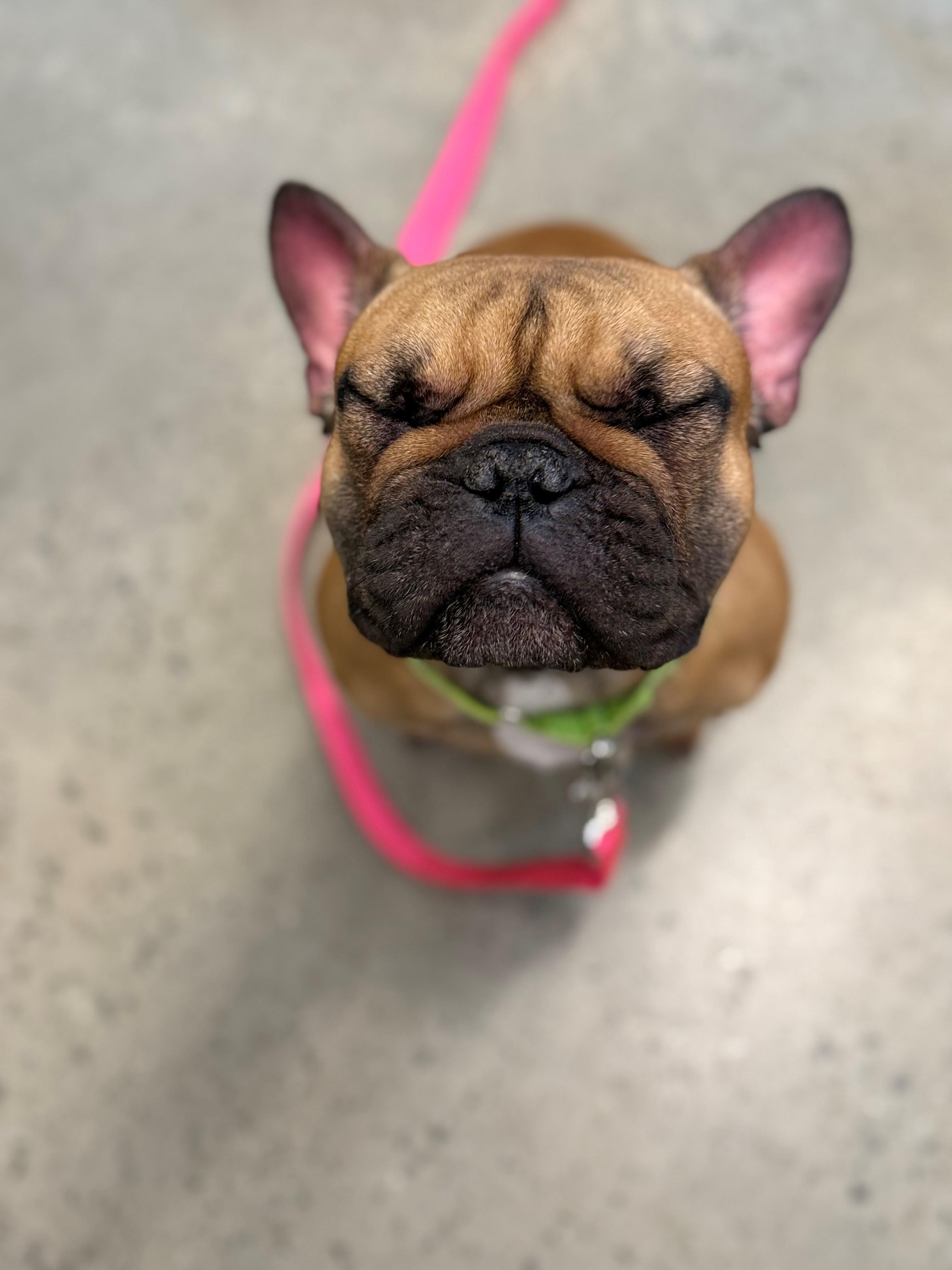 Chloe