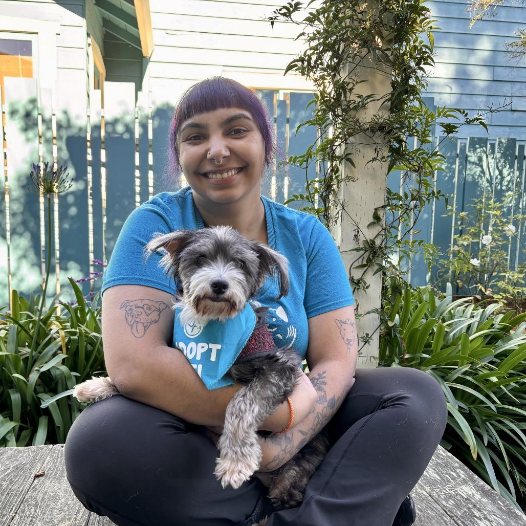 Walrus, a Adoptable Terrier in Pacific Grove, CA image 4/6