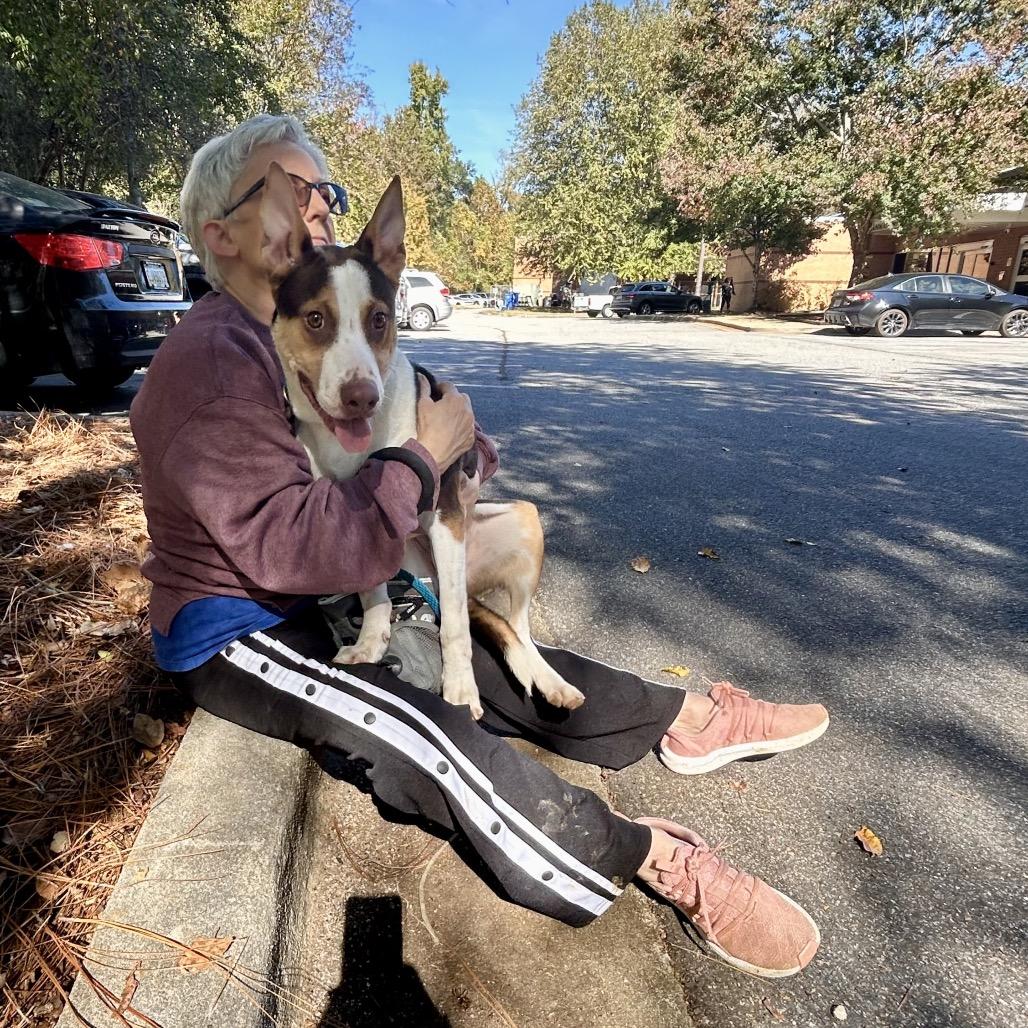 Enlarge Peanut Butter Crunch 5161, a Adoptable Mixed Breed in Columbus, GA image 3/6