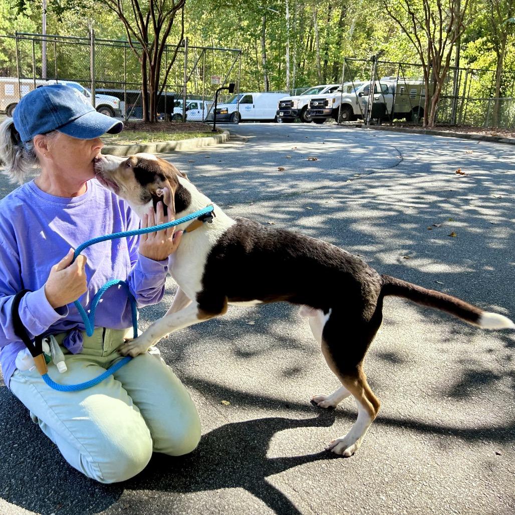Enlarge Peanut Butter Crunch 5161, a Adoptable Mixed Breed in Columbus, GA image 6/6