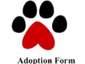 General Dog Adoption (Please list name of dog on application), Adoptable, Young Male Mixed Breed.