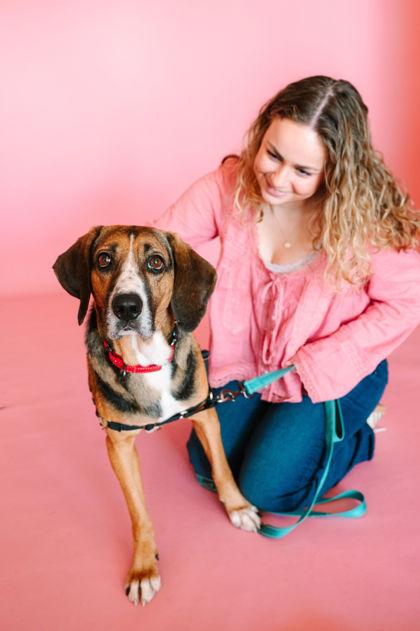 Enlarge Gravy, a Adoptable mixed breed in King William, VA image 2/3