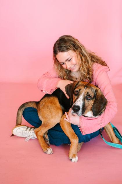 Enlarge Gravy, a Adoptable mixed breed in King William, VA image 3/3