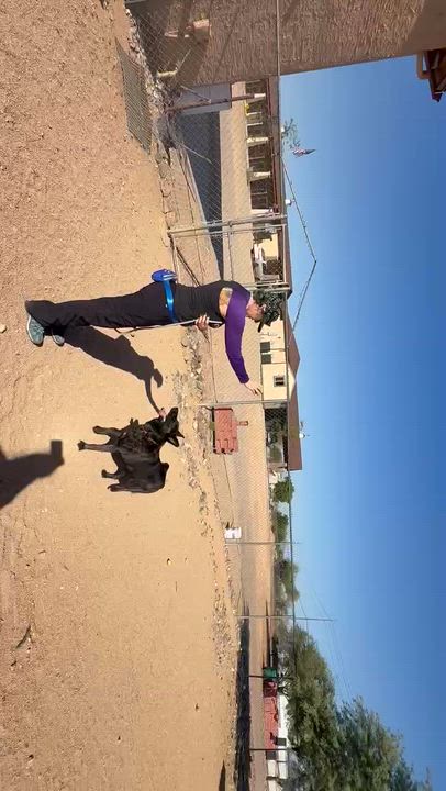 Enlarge Pantera , a ADOPTABLE mixed breed in Glendale, AZ video 5/5