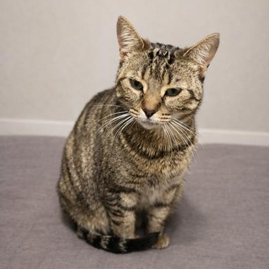 Diamond — thumbnail 2