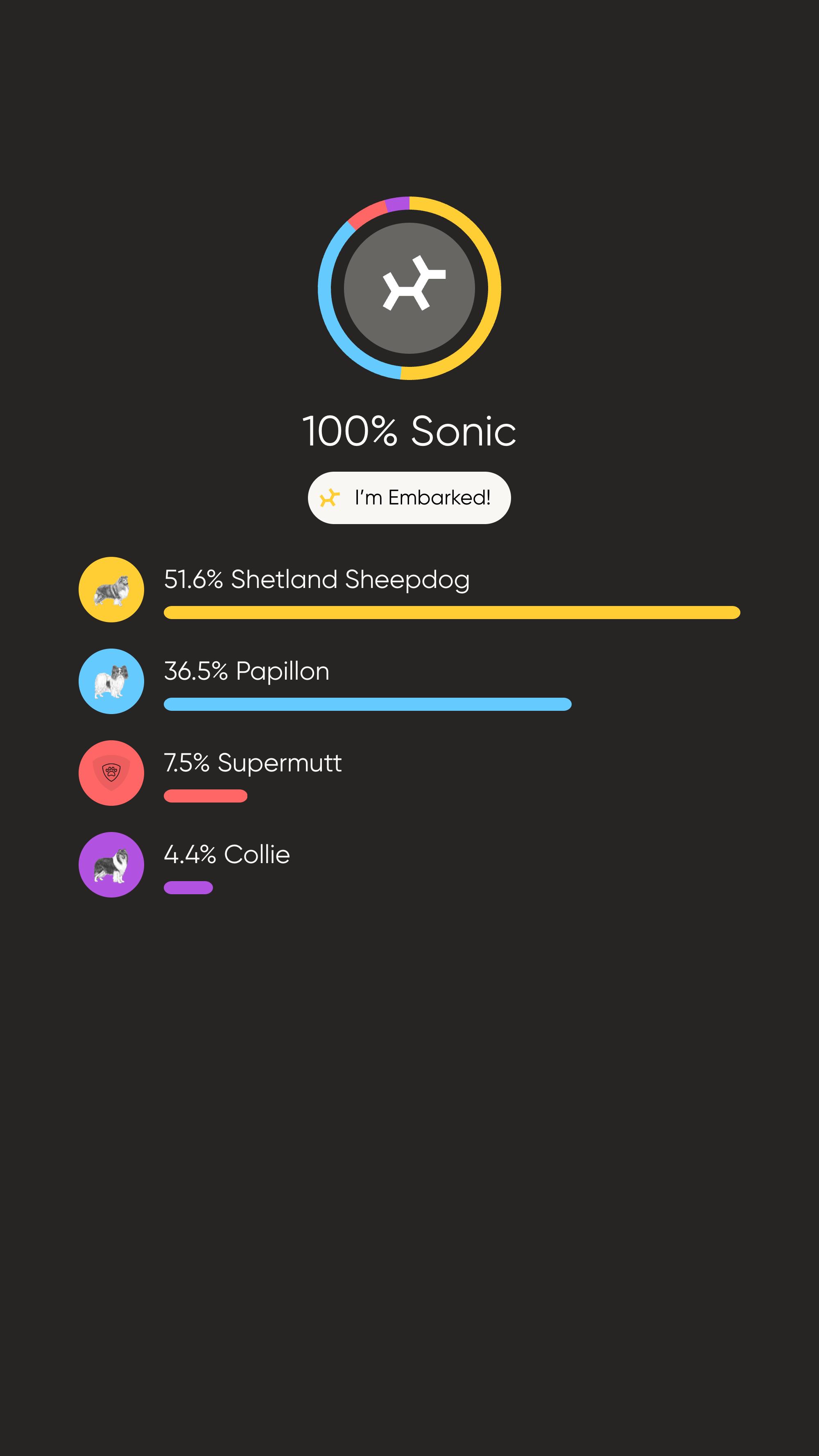 Enlarge Sonic, an adoptable mixed breed in Charlotte, NC image 2/2