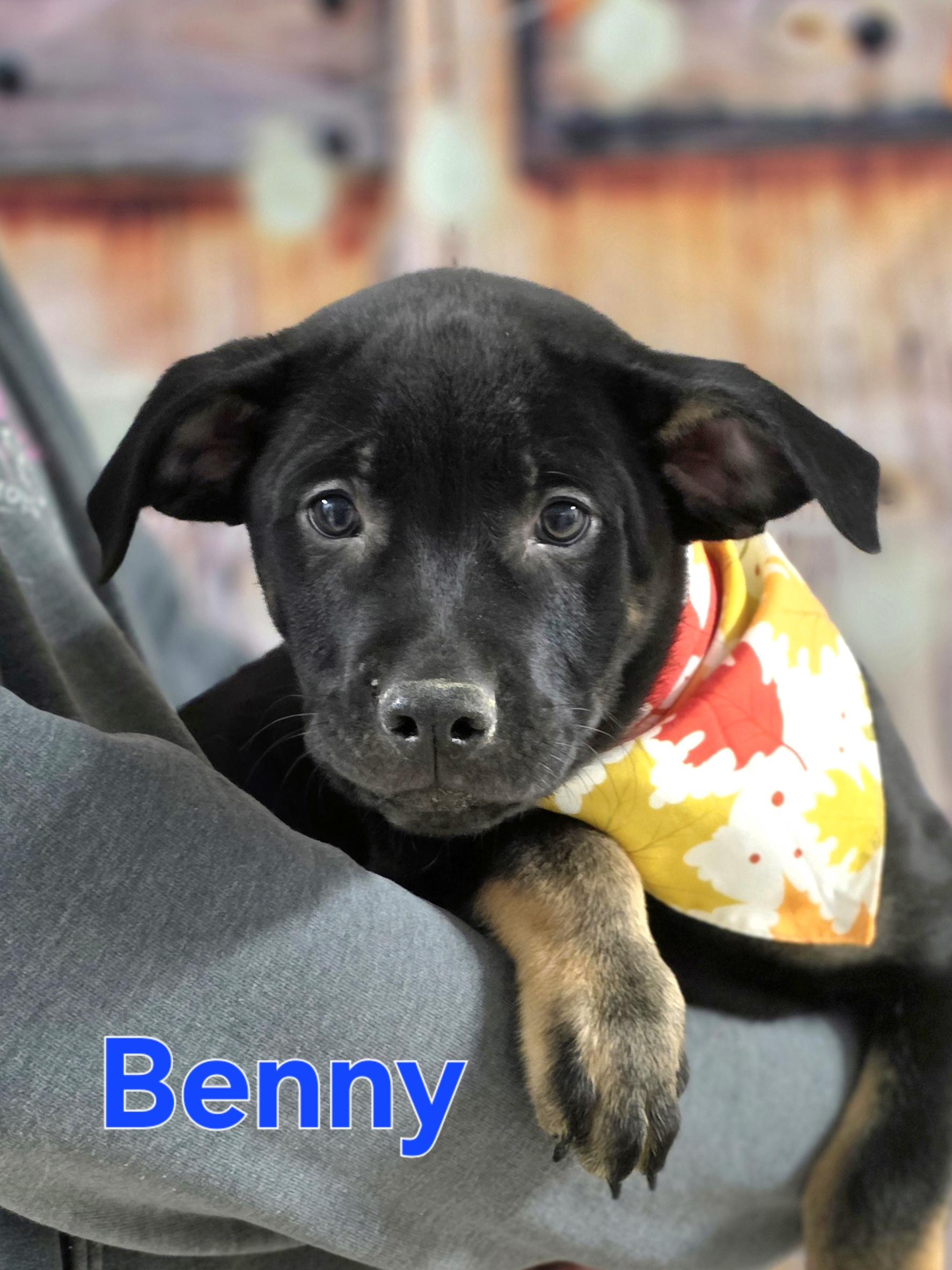 Benny