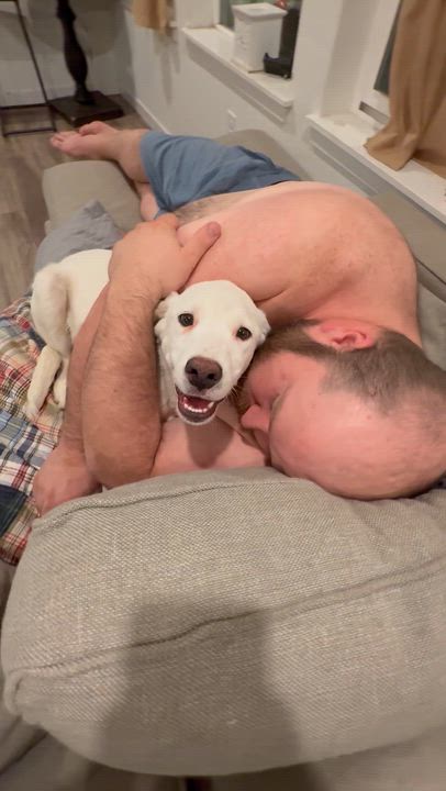 Enlarge Odie, a Adoptable mixed breed in Littleton, CO video 1/3