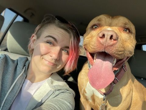 Dolce, a Adoptable mixed breed in Mission, KS image 3/12