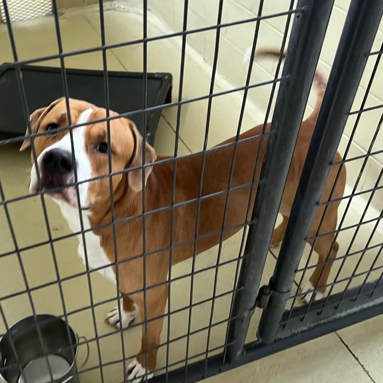 Titan Moon thumbnail 2