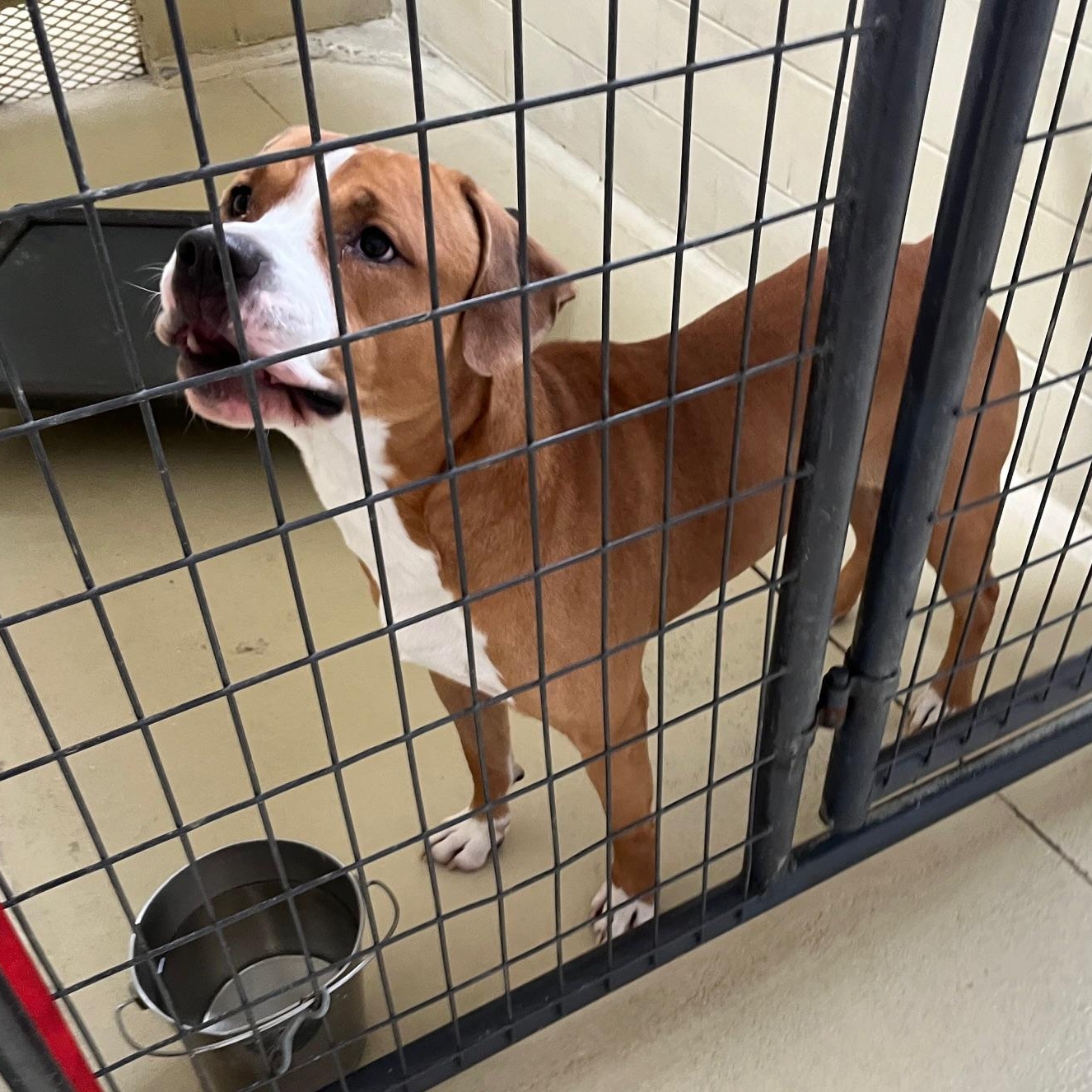 Titan Moon thumbnail 3