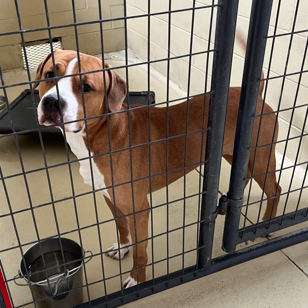 Titan Moon thumbnail 4