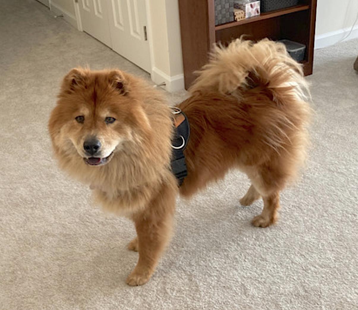 Muffy — thumbnail 3