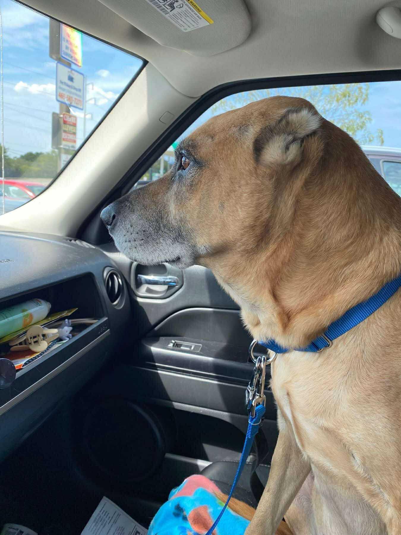 Matt — thumbnail 2