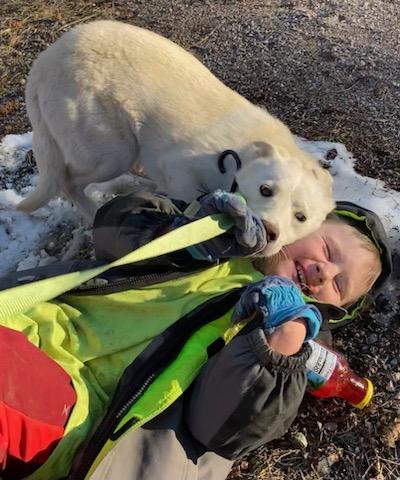 Enlarge Foxy, a ADOPTABLE Mixed Breed in Polson, MT image 2/6