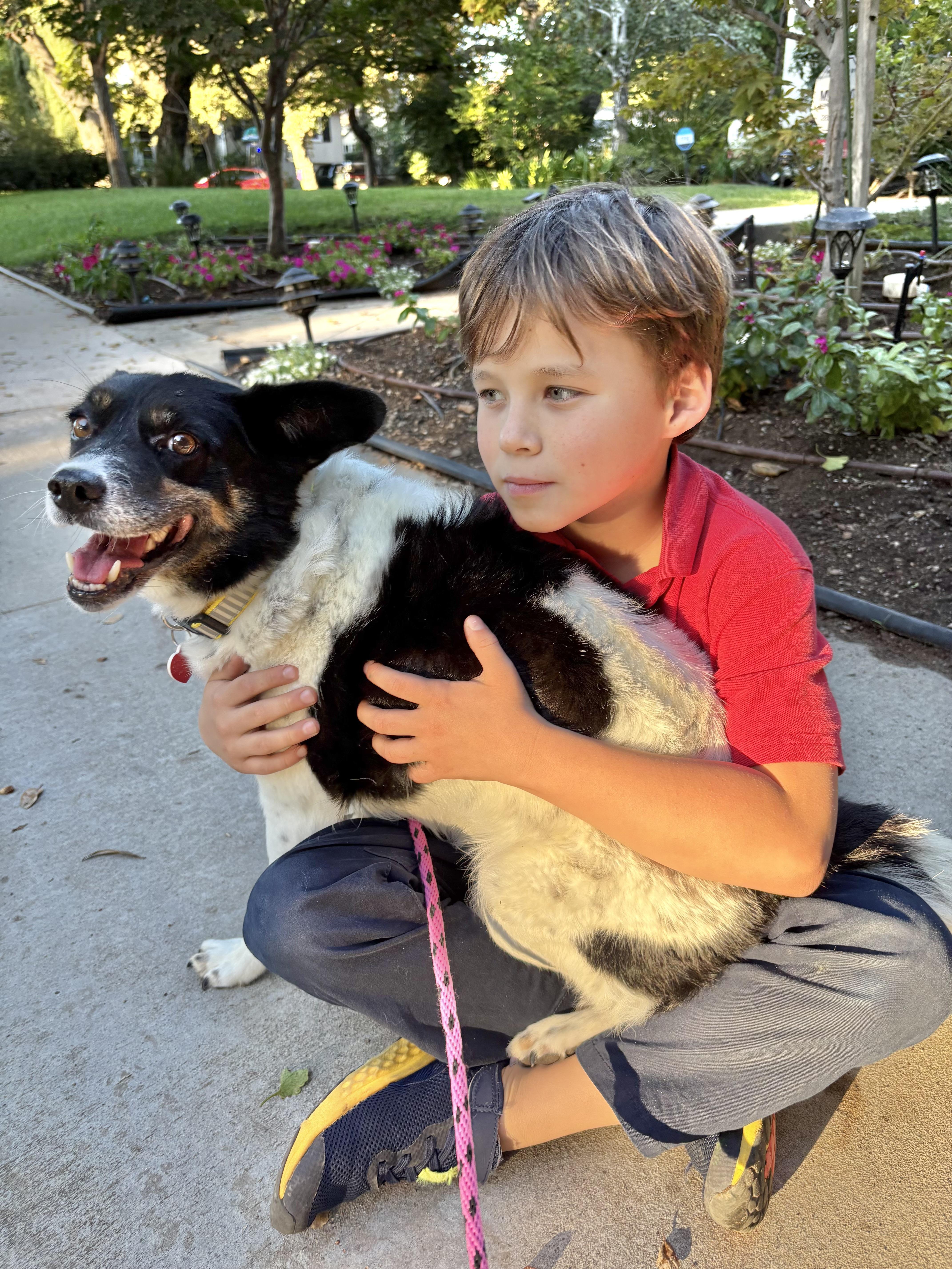 Cherry Garcia is great with kids and dogs