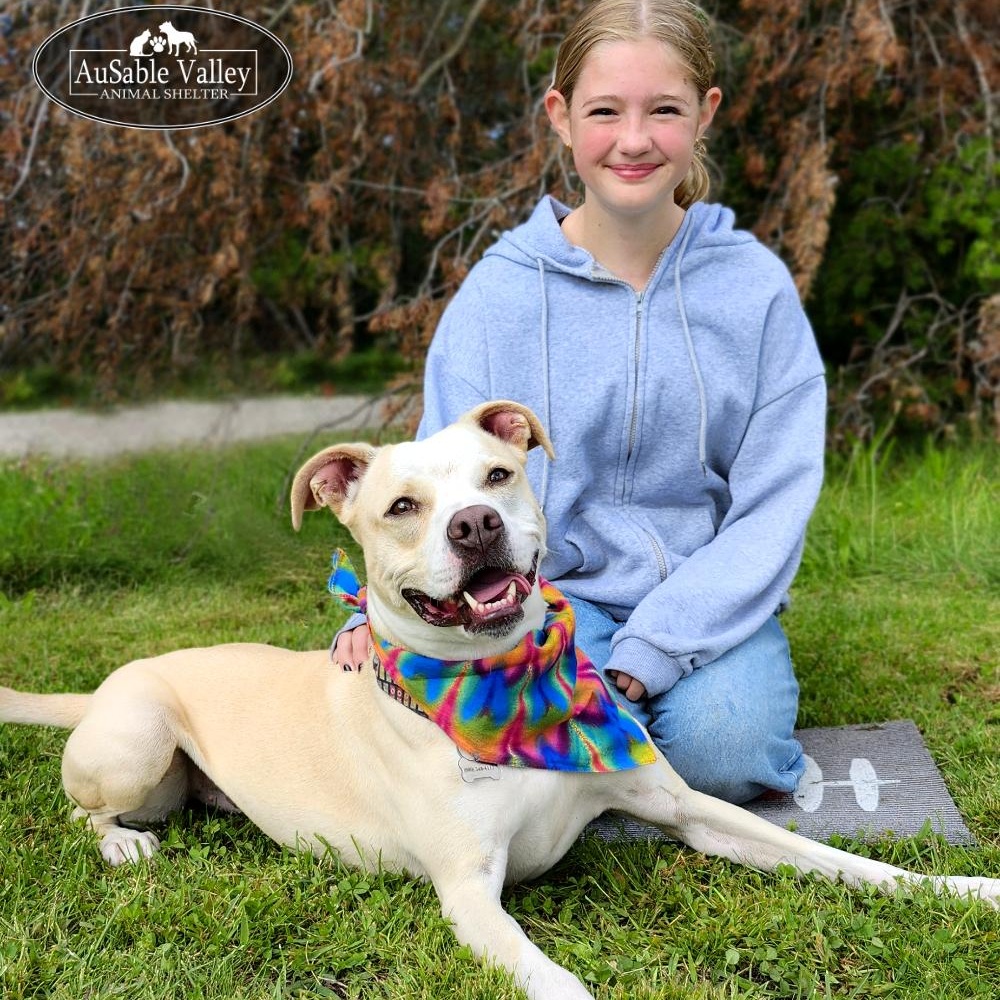 Sabrina Bark-Penter, an adoptable Mixed Breed in Grayling, MI, 49738 | Photo Image 5