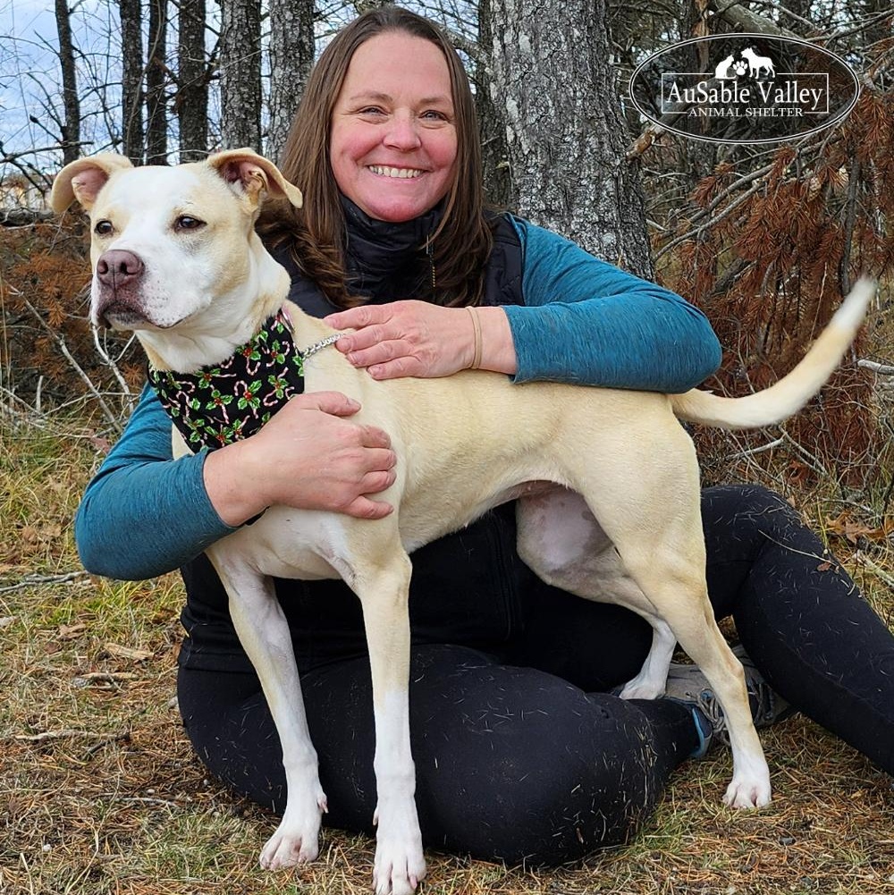 Sabrina Bark-Penter, an adoptable Mixed Breed in Grayling, MI, 49738 | Photo Image 3