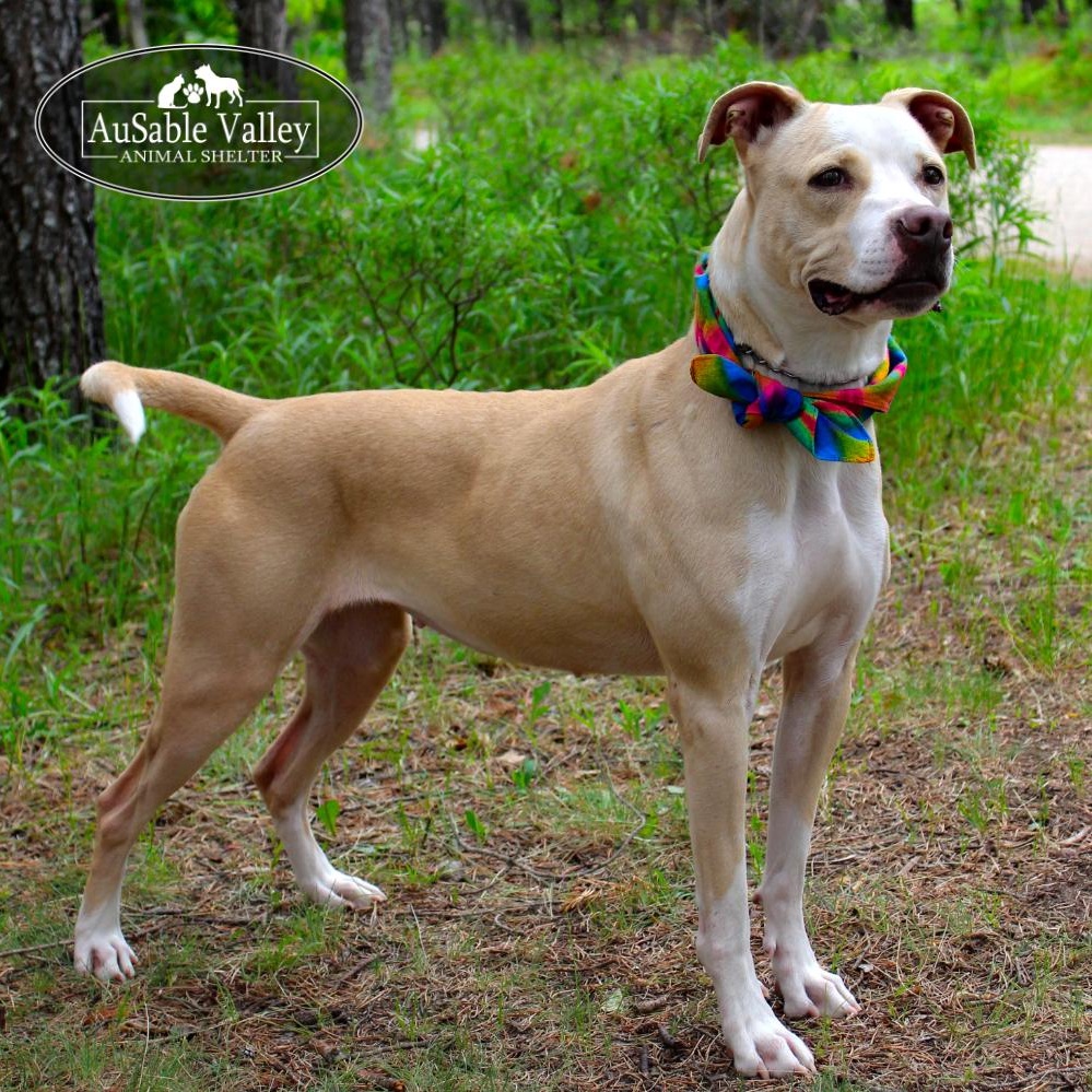 Sabrina Bark-Penter photo 3