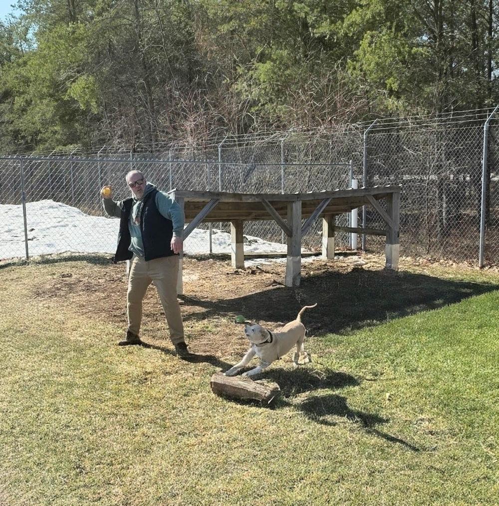Enlarge Sabrina , a Adoptable mixed breed in Grayling, MI image 6/6