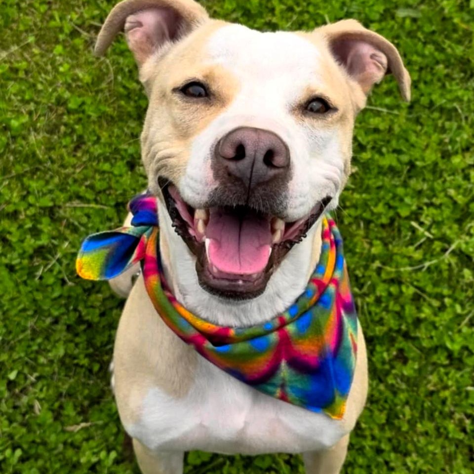Sabrina Bark-Penter photo 6