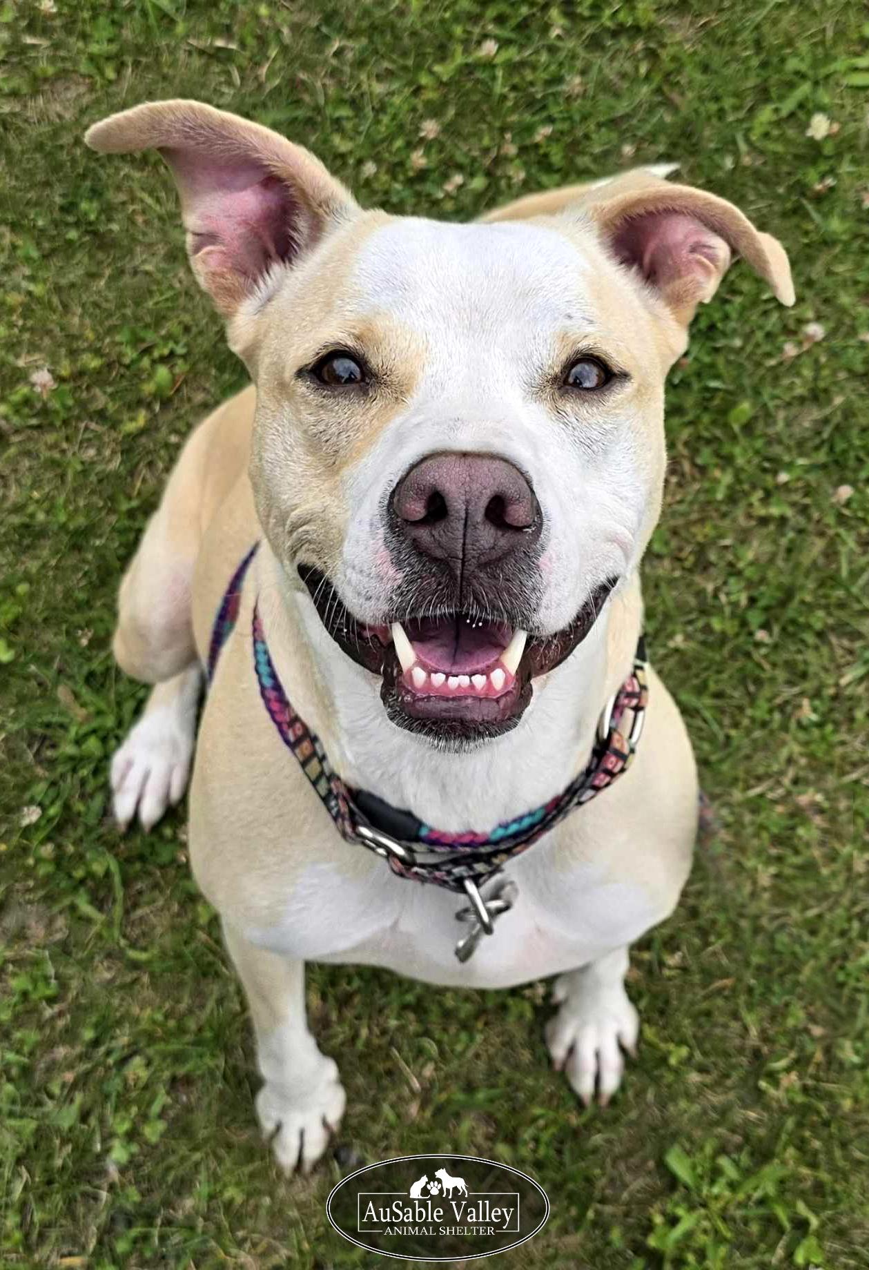 Sabrina Bark-Penter